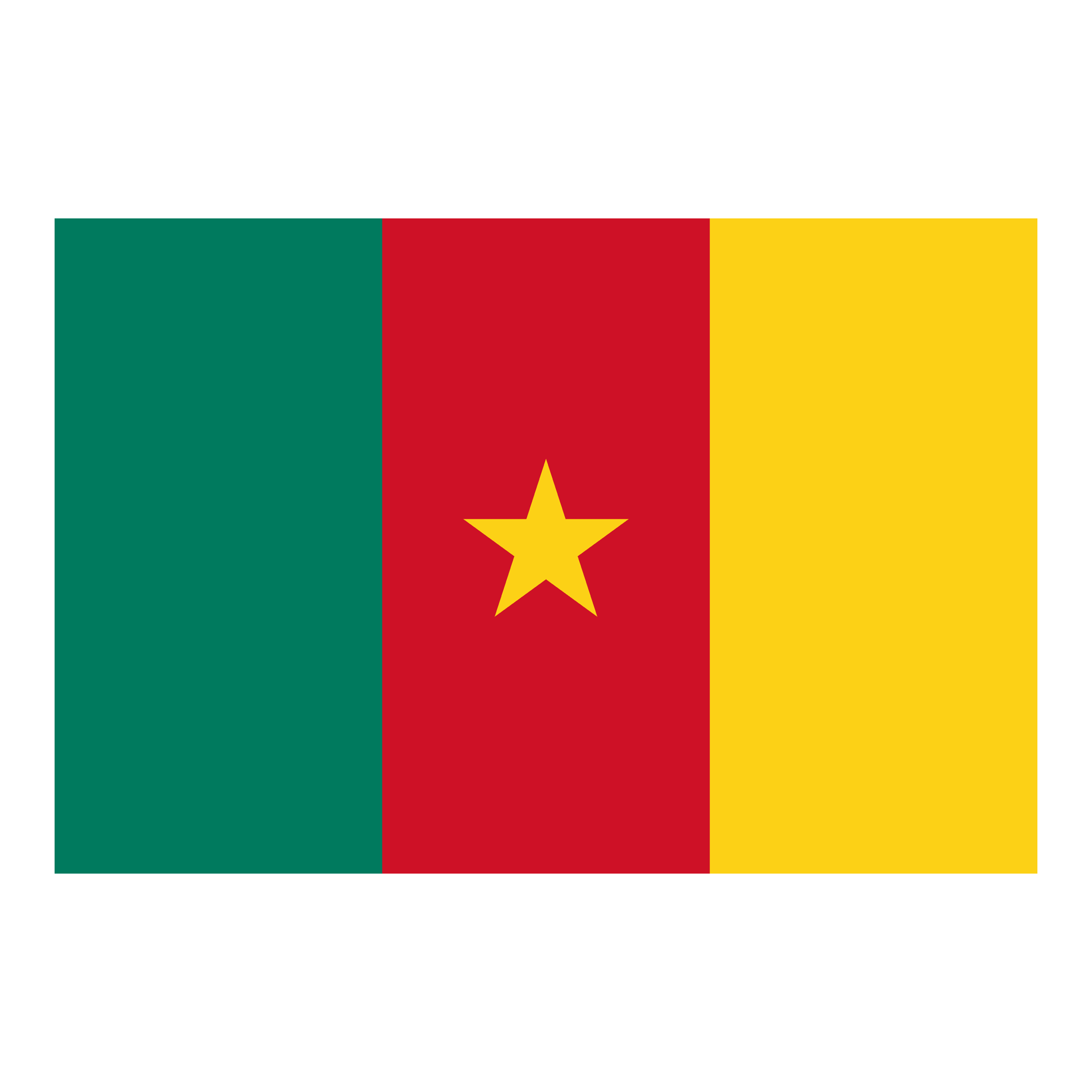 Cameroon logo