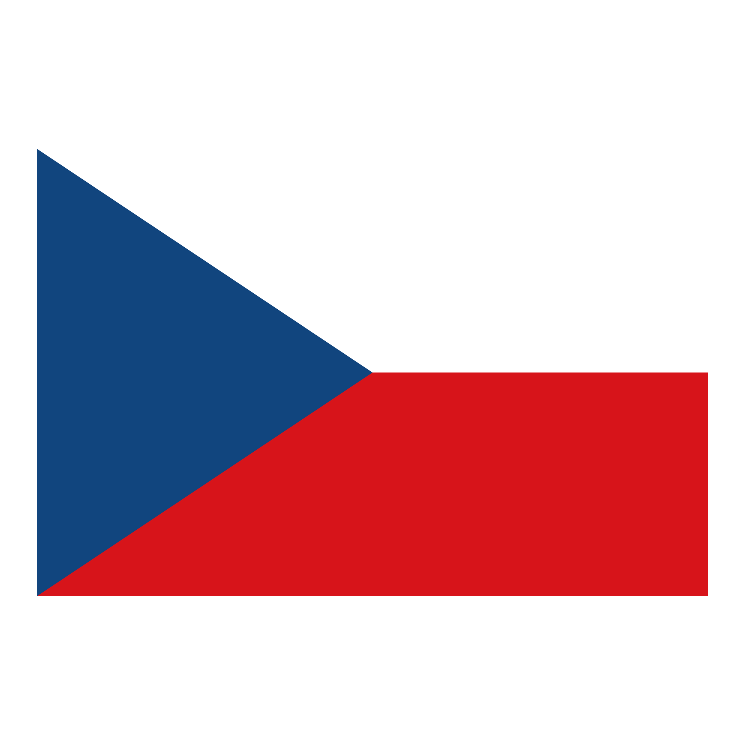 Czech Rep logo