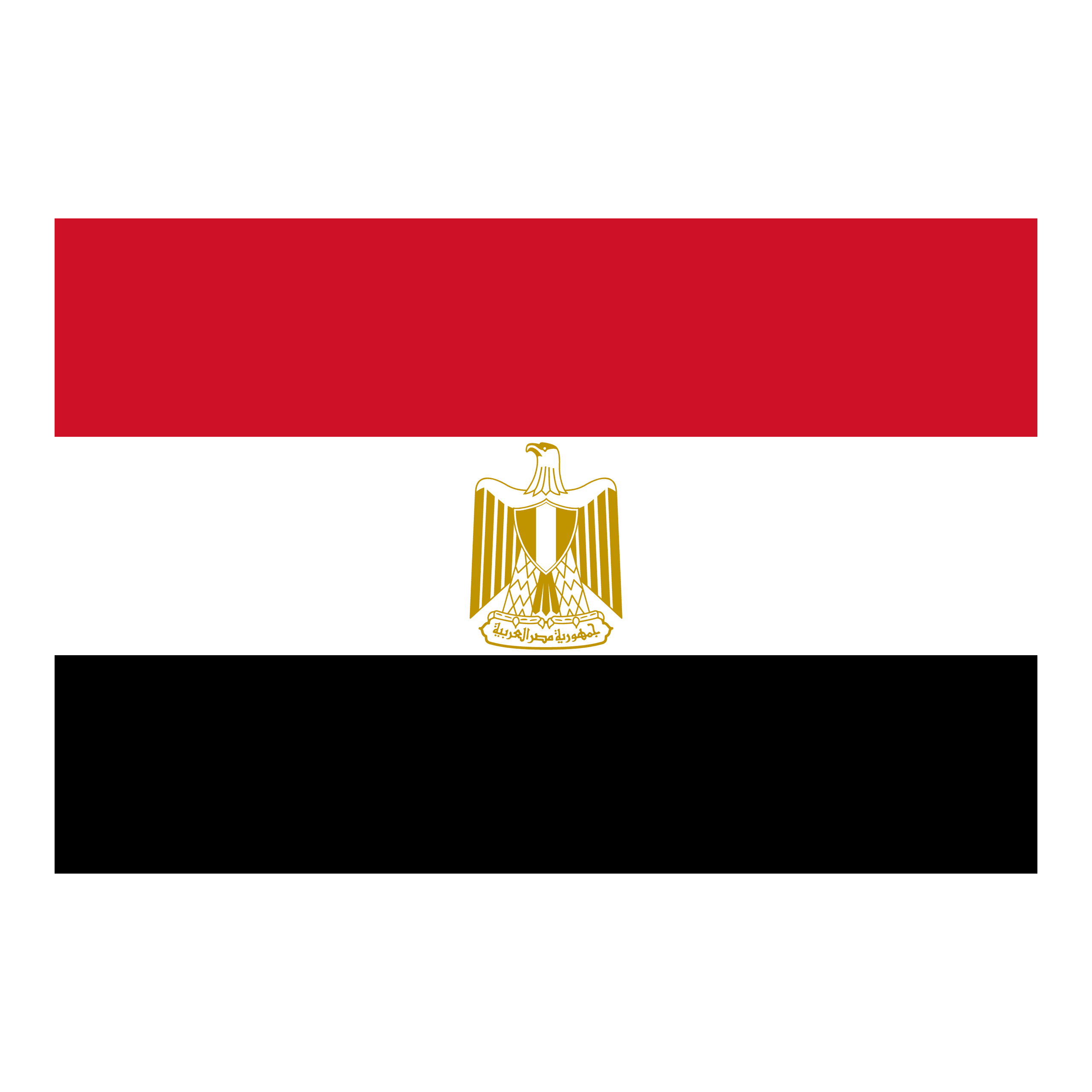 Egypt logo