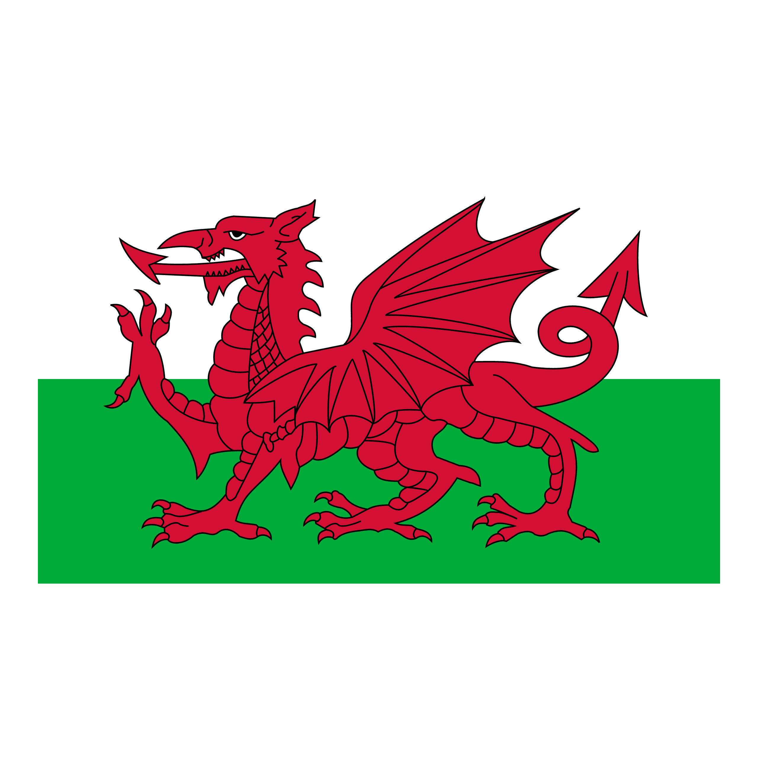 Wales logo