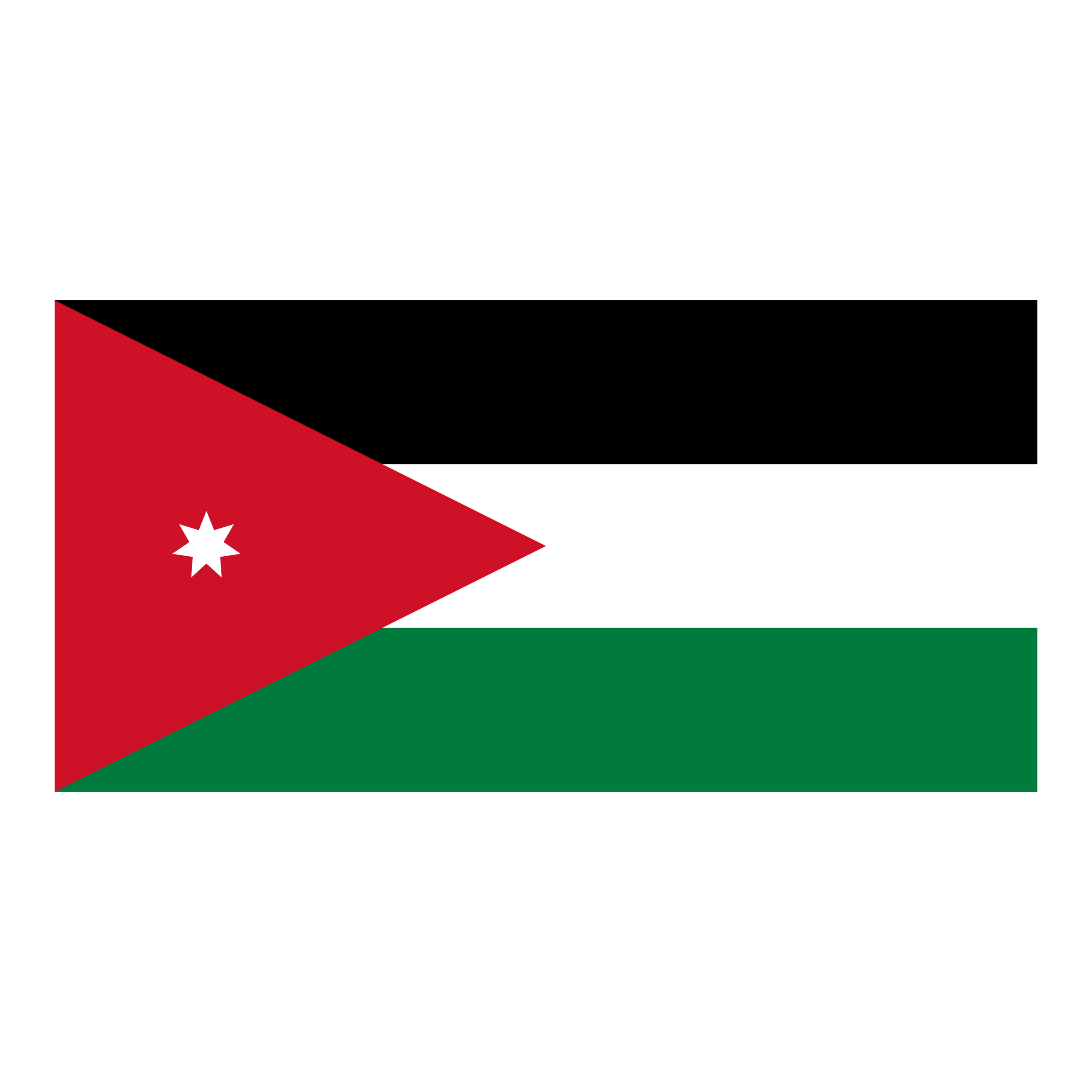 Jordan logo