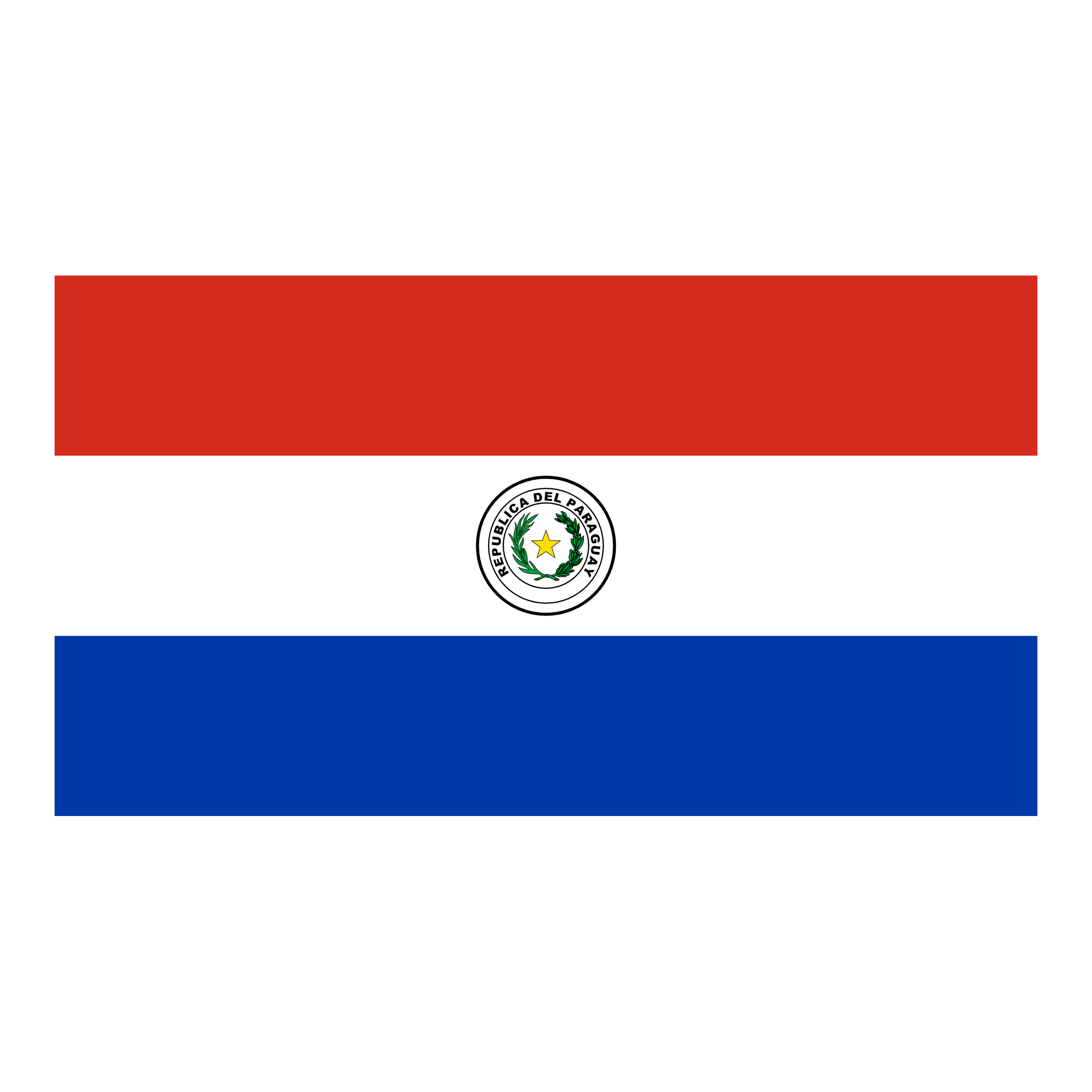 Paraguay logo