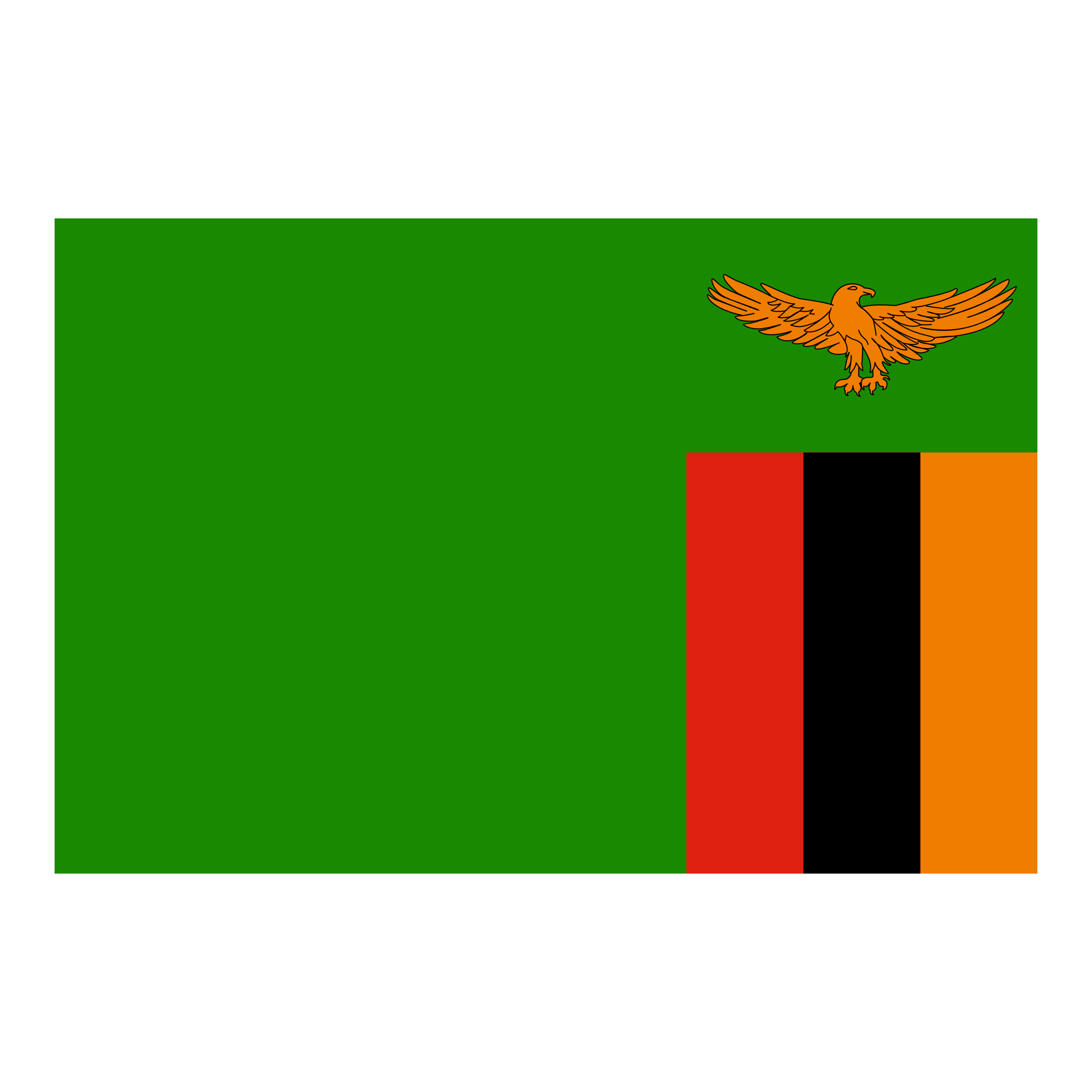 Zambia logo