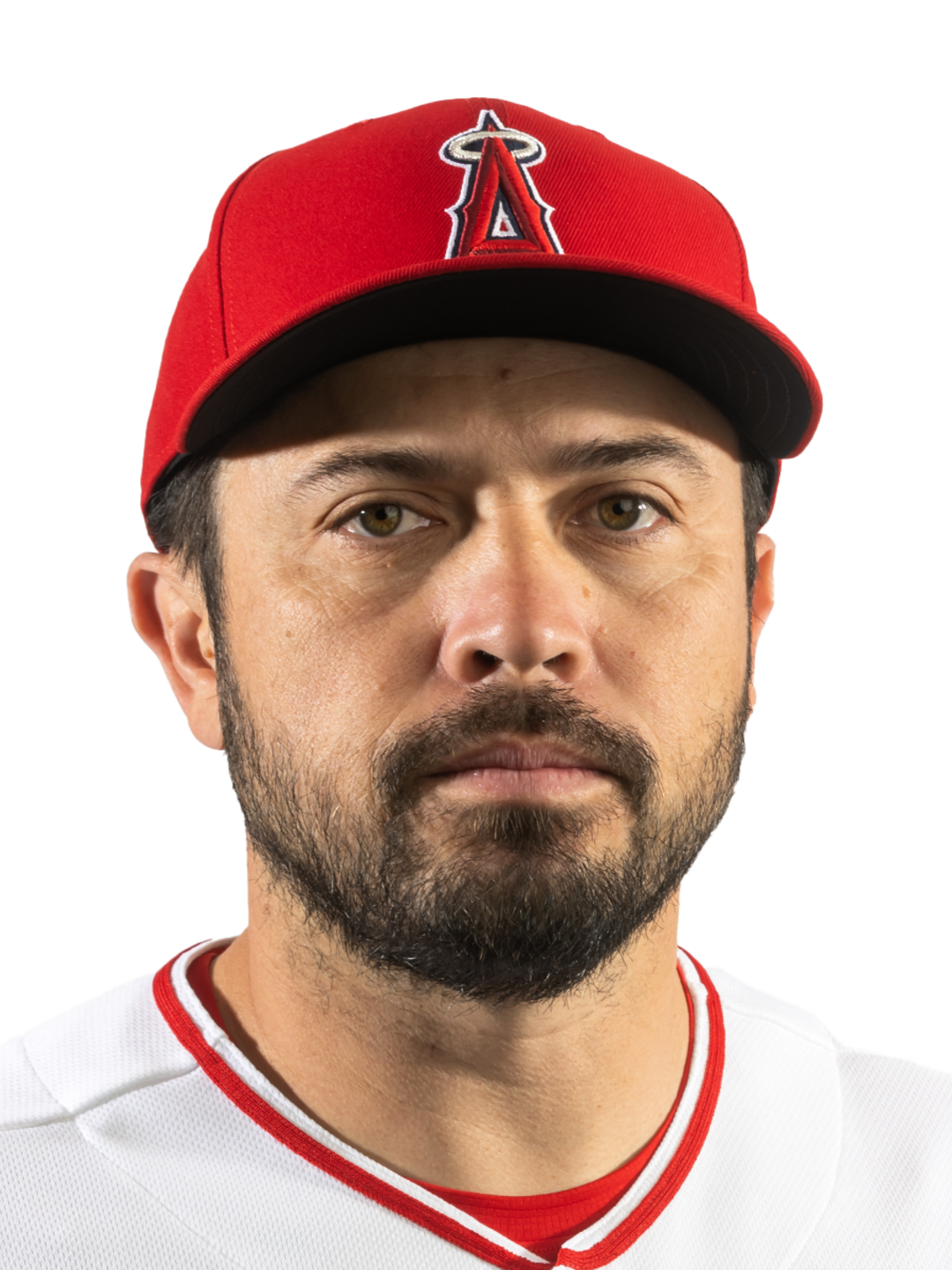 T. d'Arnaud-avatar