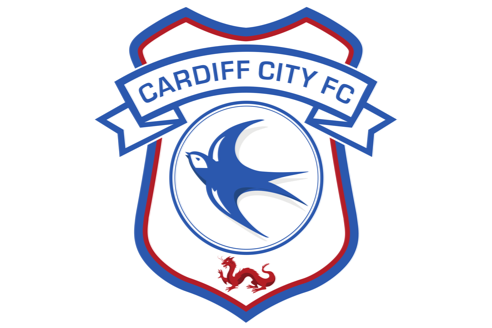 Cardiff City 0-0 Reading FC: Match Report - The Tilehurst End